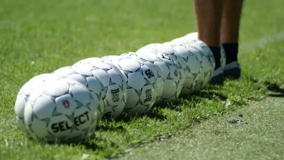 Jogo do Palmeiras vai passar na Globo? Onde assistir o Verdão no Mundial (15/6)