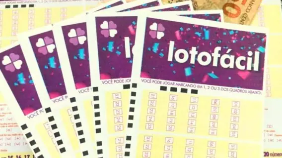 Confira o resultado da Lotofácil 3443 e ganhadores de terça (15/7)