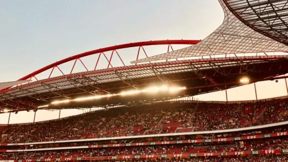 Onde assistir o jogo do Benfica x Tondela na Liga Portugal hoje