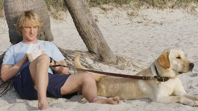 Sessão da Tarde da semana traz sucessos de 11 a 15 de agosto