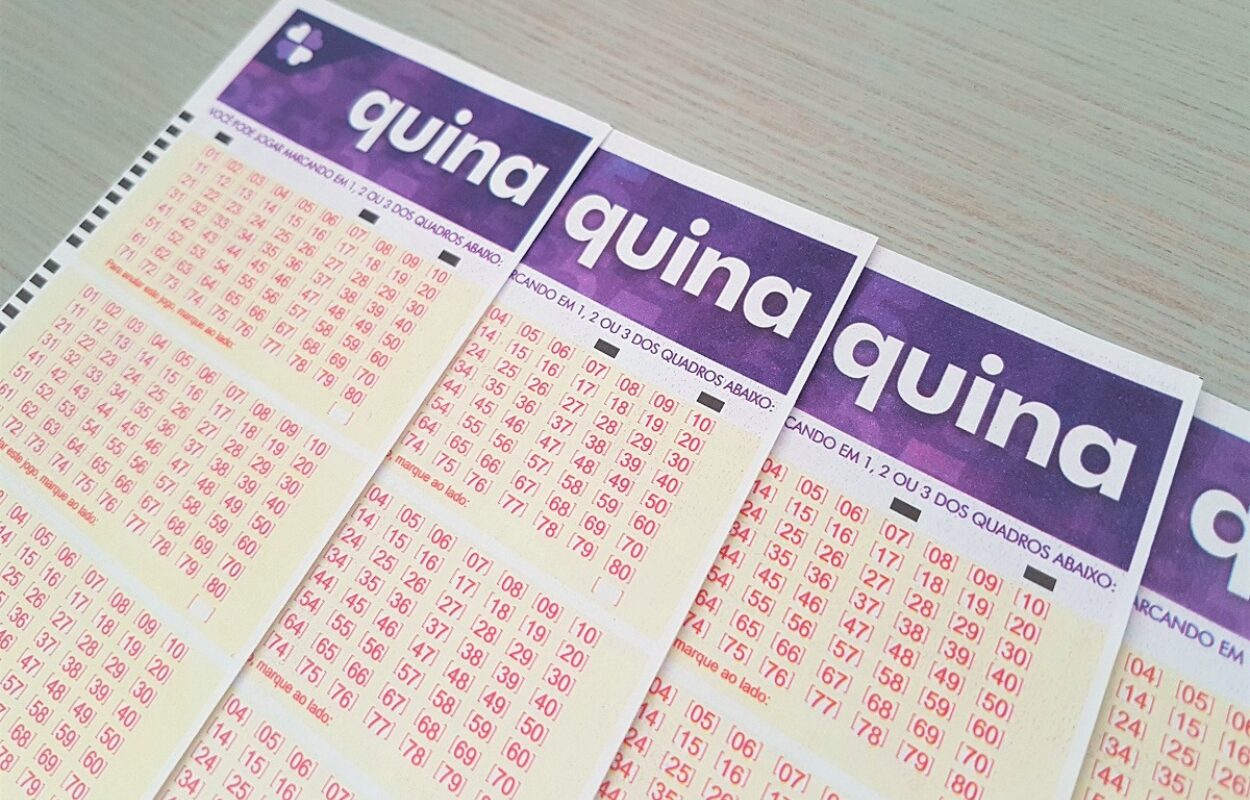 resultado da quina