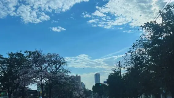 Quando começa a Primavera de 2025 e como será a estação