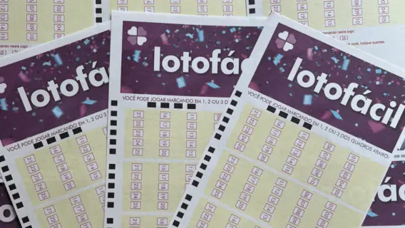 Confira o resultado da Lotofácil 3503 hoje e ganhadores de sexta
