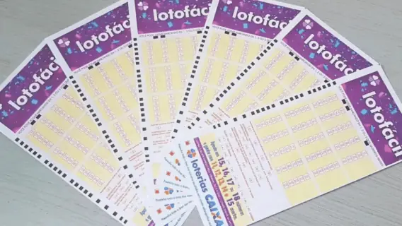 Confira o resultado da Lotofácil 3510 hoje e ganhadores de sábado