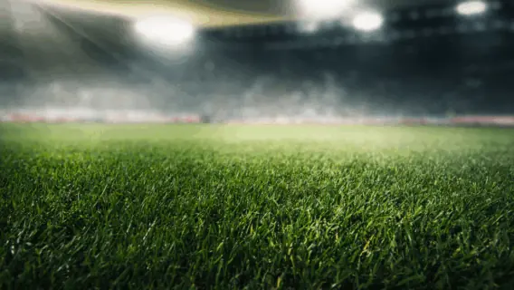 Onde vai passar o jogo do Flamengo x Botafogo hoje no Brasileirão