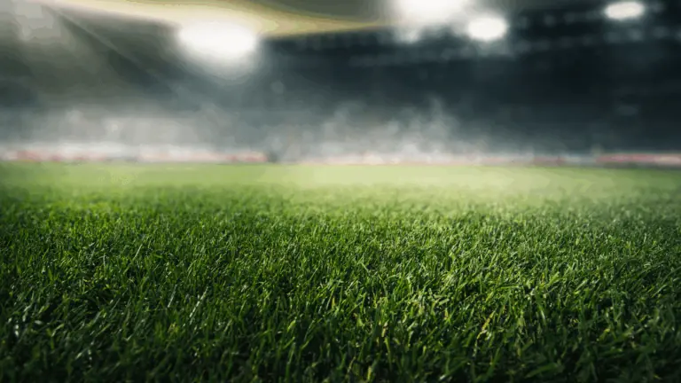 Onde vai passar o jogo do Flamengo x Botafogo hoje no Brasileirão