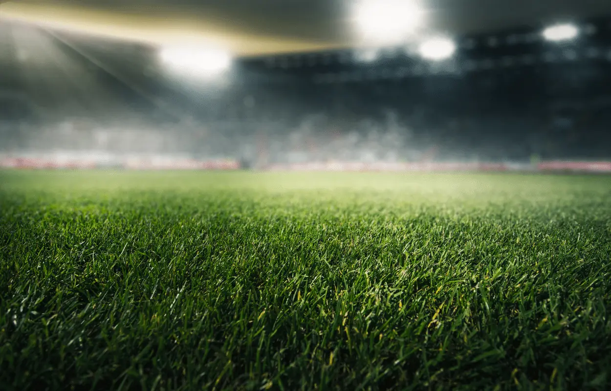 Onde assistir o jogo do Flamengo hoje