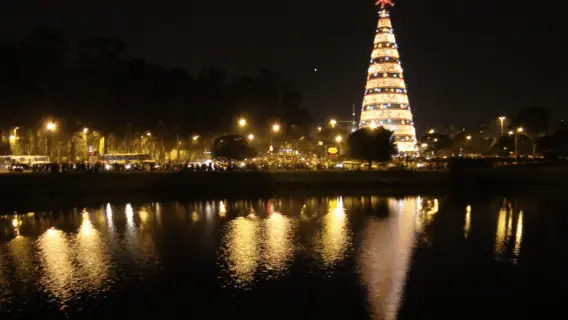 Árvore de Natal do Ibirapuera em 2025 terá 57 metros