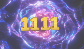 Portal 11/11