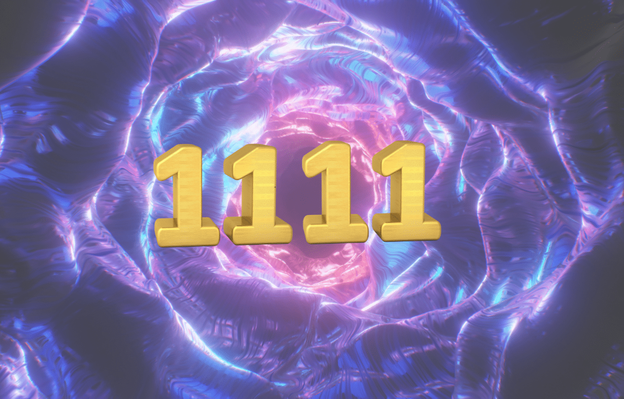 O que significa o Portal 11/11 e como se beneficiar?