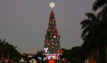 Árvore de Natal