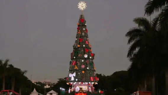 Árvore de Natal do Parque Villa-Lobos: veja os horários de 2025