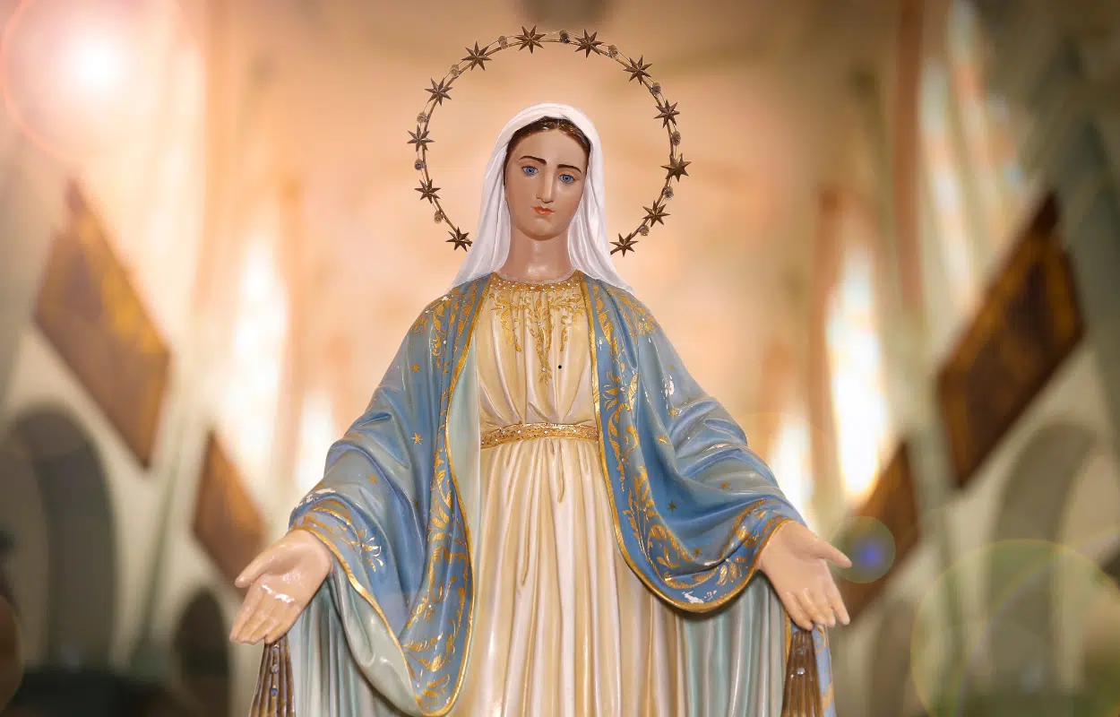 hora da graça em 8 de dezembro