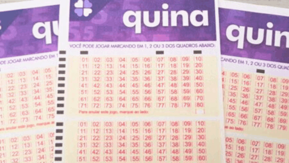 Confira resultado da Quina 6902 e os ganhadores de sábado