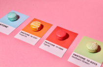 como a Pantone escolhe a cor do ano