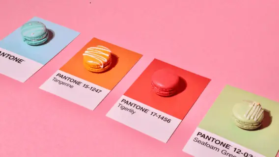Cloud Dancer em 2026: como a Pantone escolhe a cor do ano?