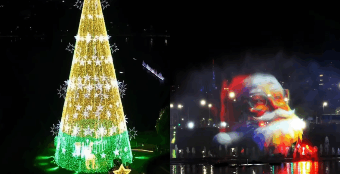 horas acende a árvore de Natal do Ibirapuera em 2025