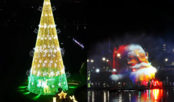 horas acende a árvore de Natal do Ibirapuera em 2025