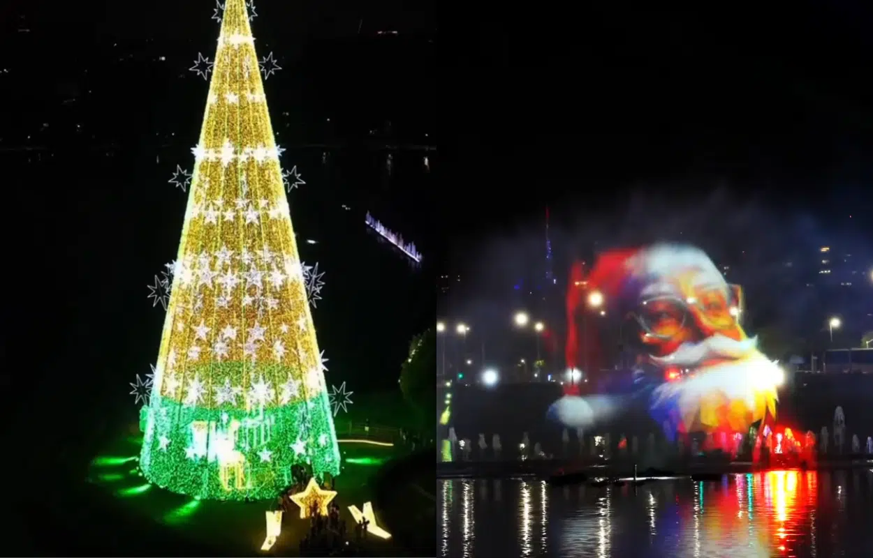 horas acende a árvore de Natal do Ibirapuera em 2025