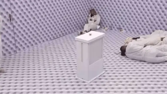 BBB 26: quem saiu do Quarto Branco e quem continua