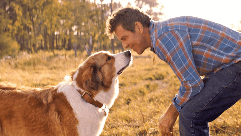 Confira a Sessão da Tarde da semana de 12 a 16 de janeiro