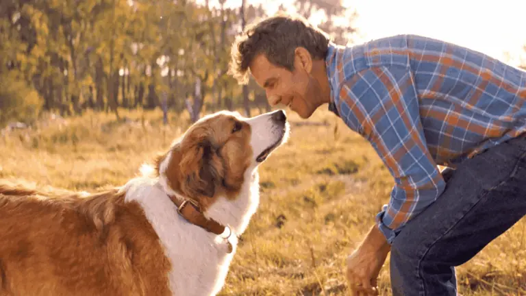 Confira a Sessão da Tarde da semana de 12 a 16 de janeiro