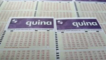 Veja o resultado da Quina 6954: dezenas de hoje (14/02/26)