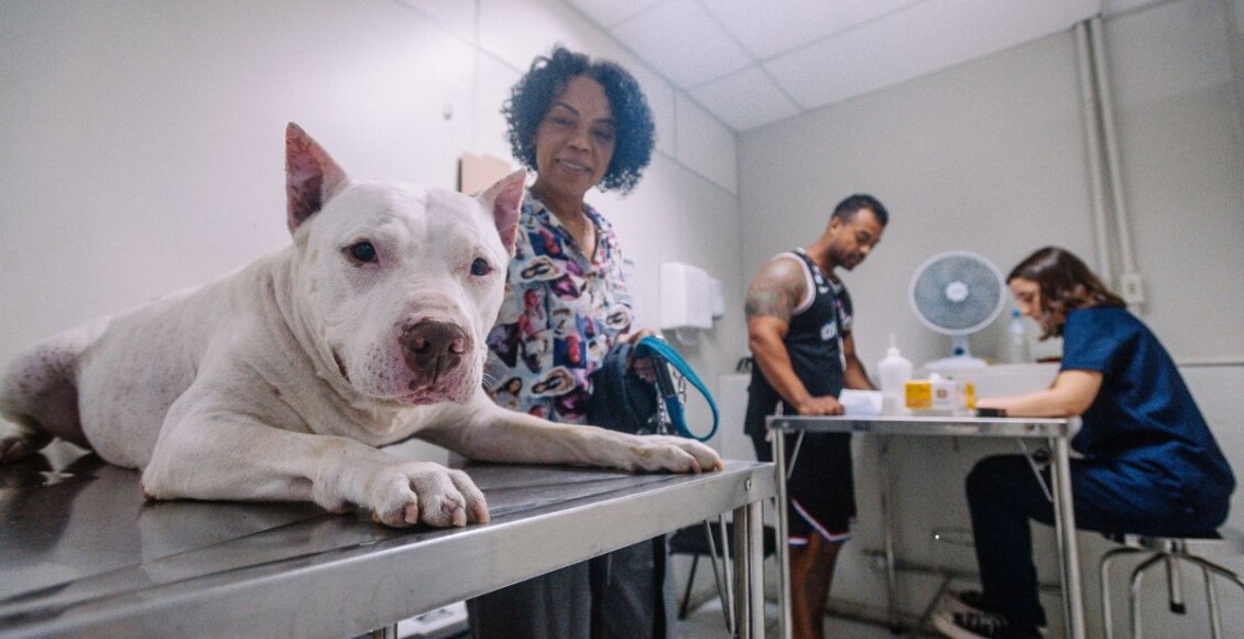 Hospital Veterinário público de SP atende 24h
