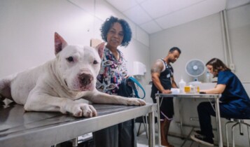Hospital Veterinário público de SP atende 24h