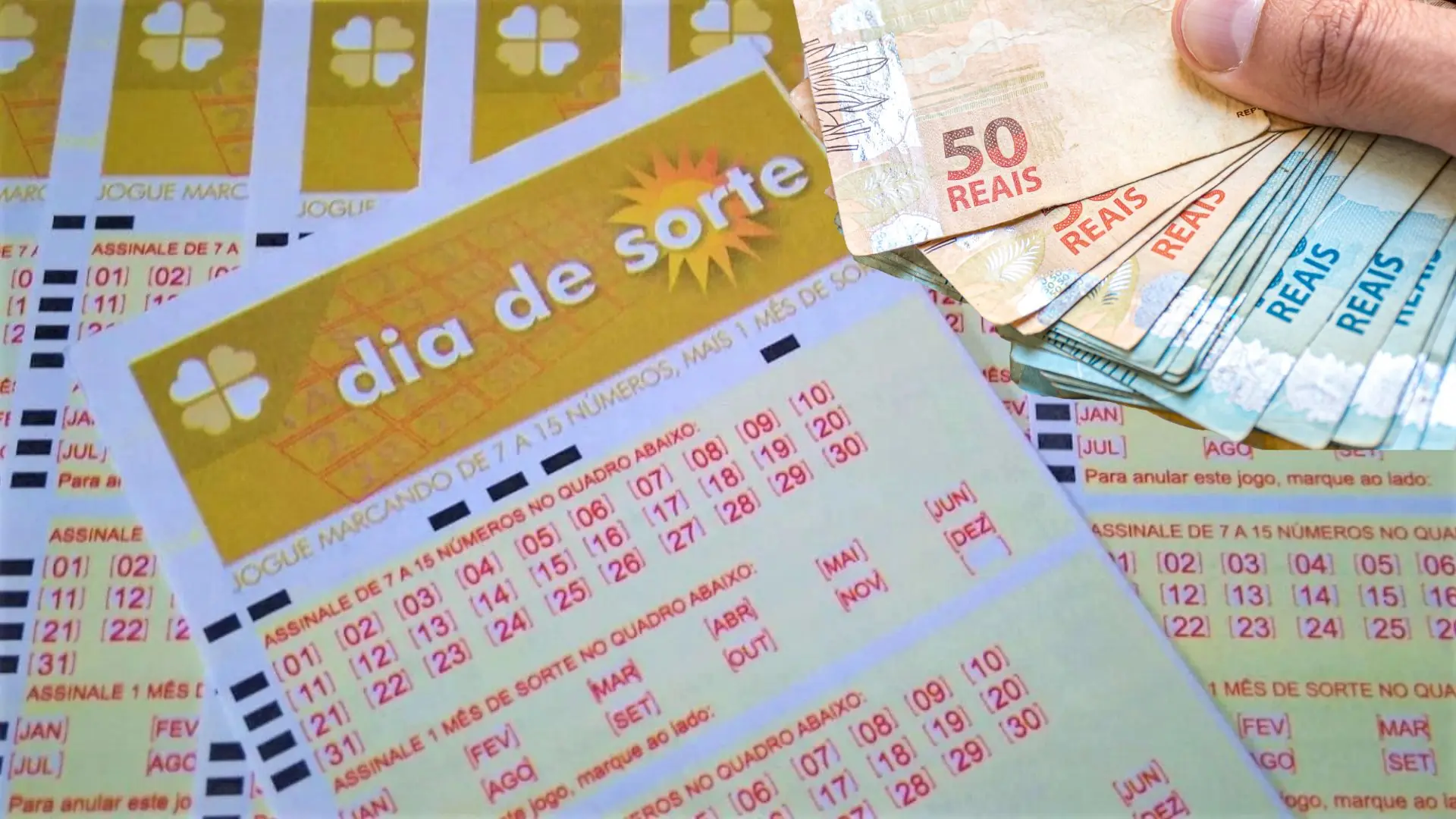 Resultados da Timemania 2383 e Dia de Sorte 1204