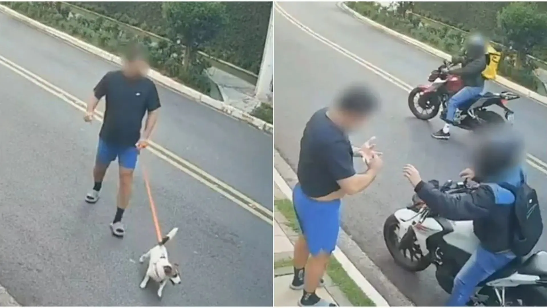 Homem que passeava com cachorro é roubado em assalto no Morumbi