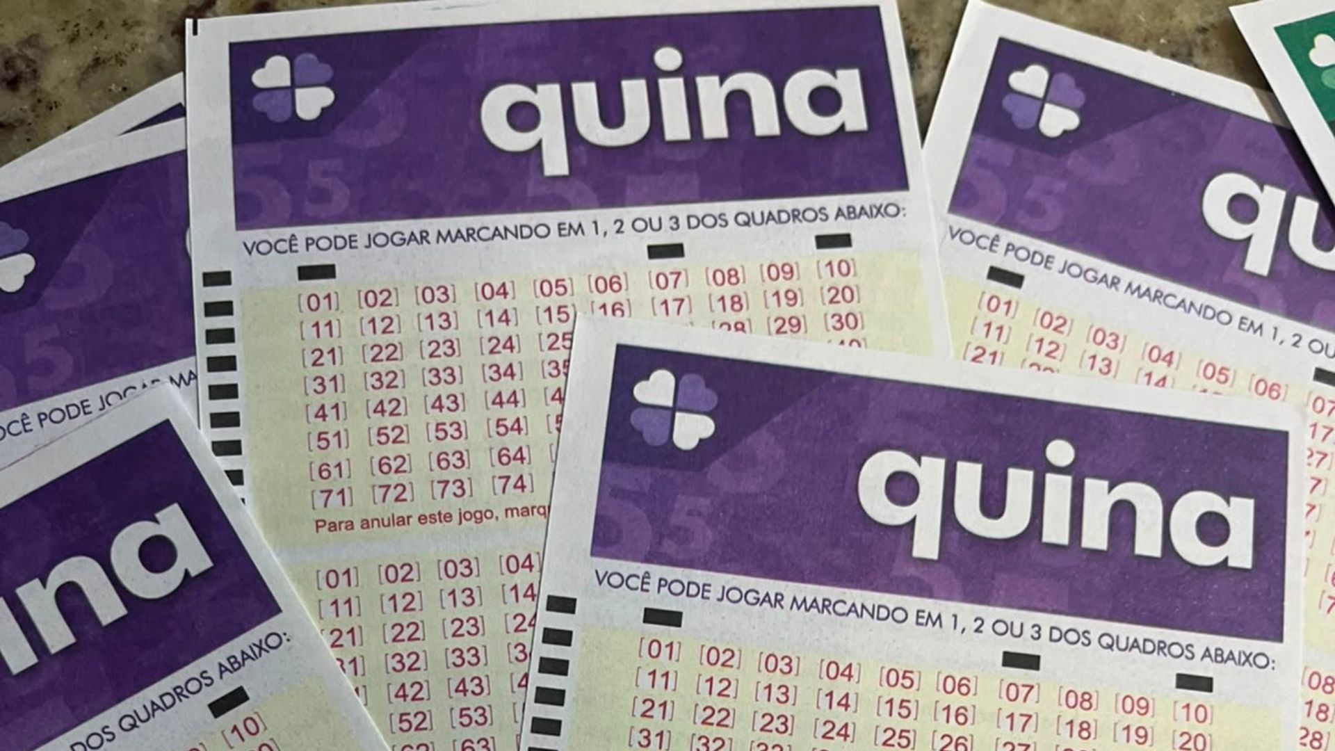 Resultado da Quina 7061 hoje: veja o concurso de quinta 09/07/2026
