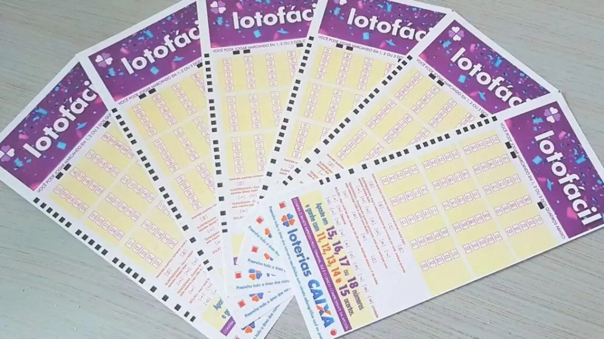 Apostas vencedoras da Lotofácil 3770