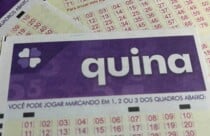 Resultado da Quina 7131